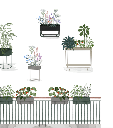 Greener Living Guide | How to Plant your Plant Box Garden - Skandium London