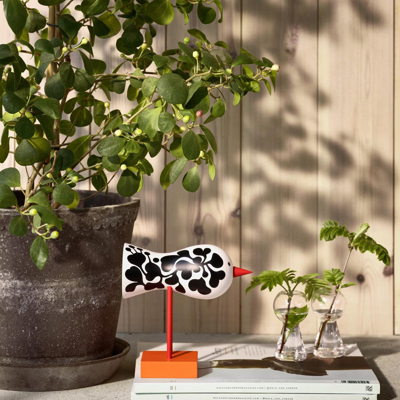 Birds 1967 – Skandium