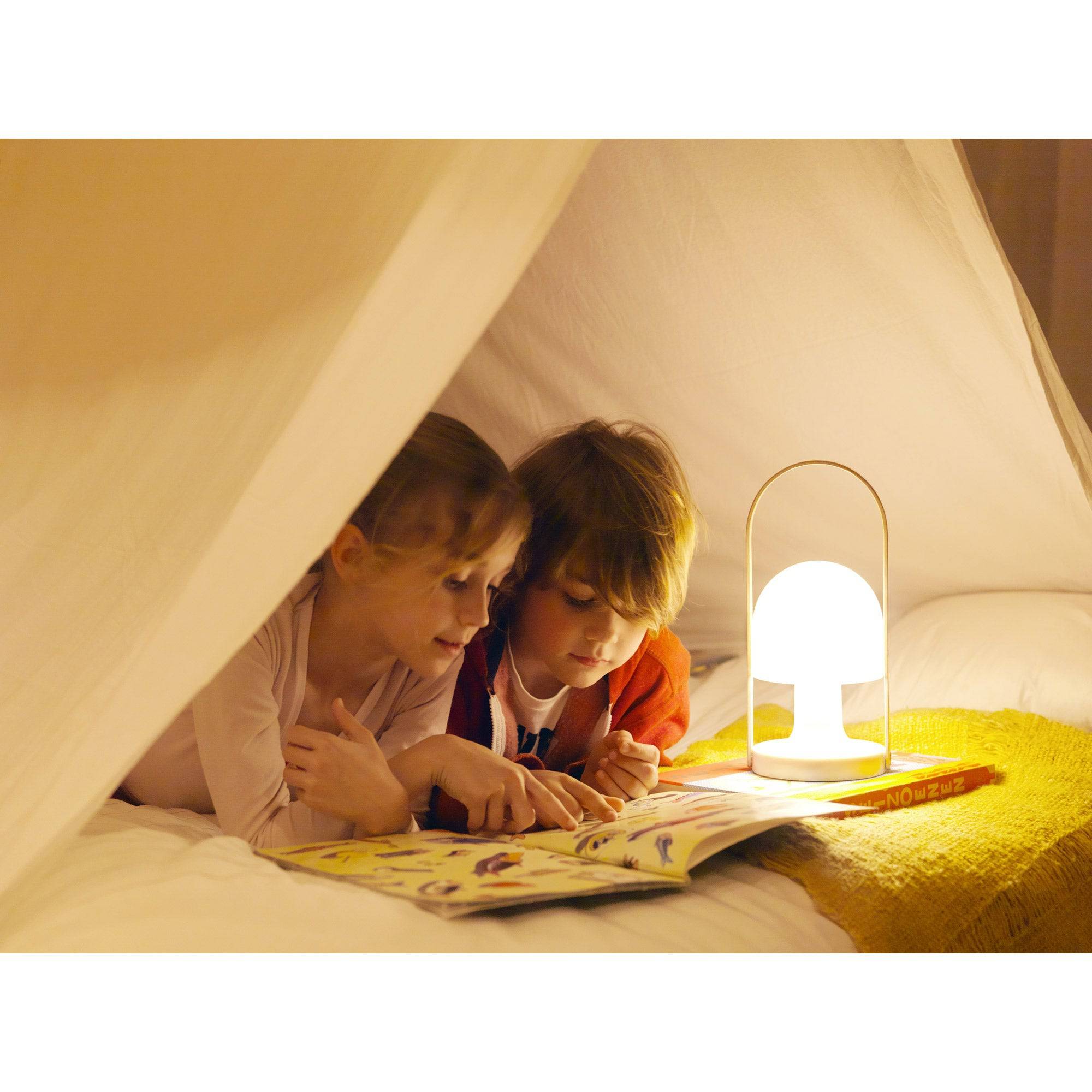 FollowMe lamp - Portable – Skandium